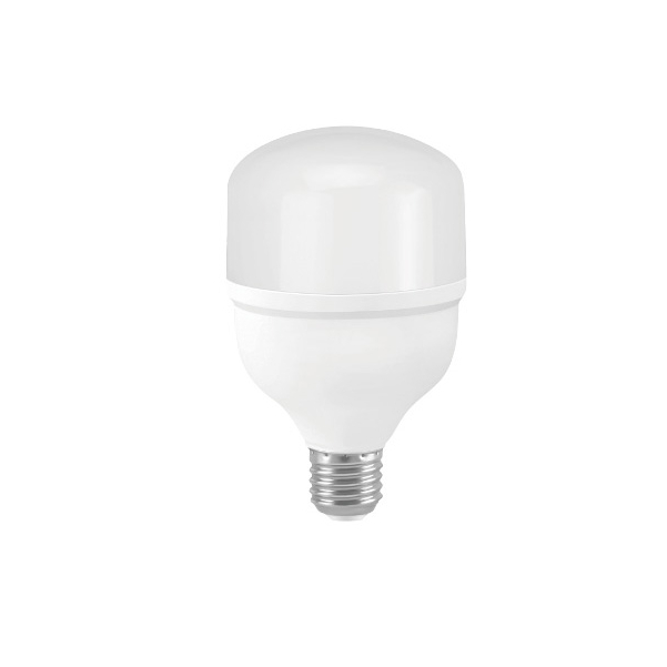 LED Bulb T80