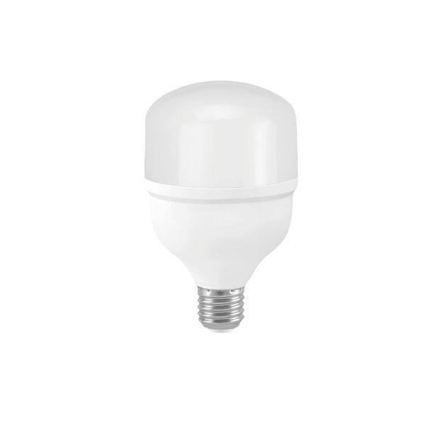 LED Bulb T100