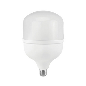 LED Bulb T160
