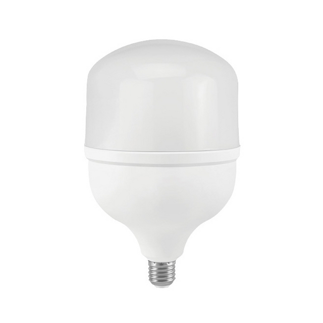 LED Bulb T160