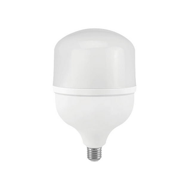 LED Bulb T140