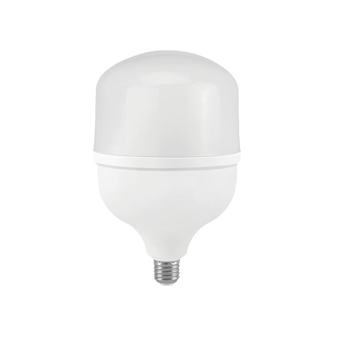 LED Bulb T160