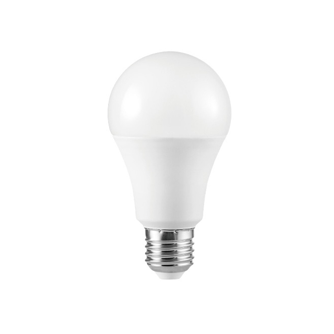 LED Bulb A65