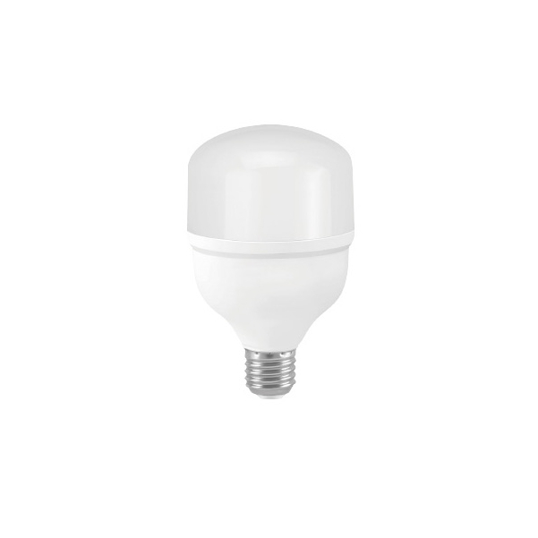 LED Bulb T60