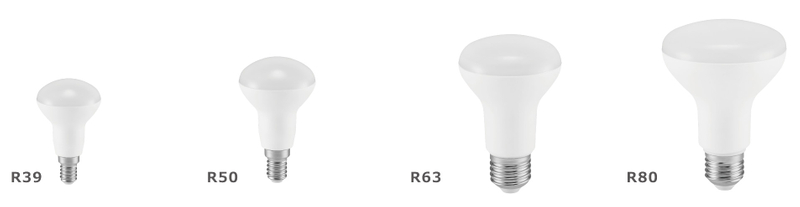 LED Bulb R80