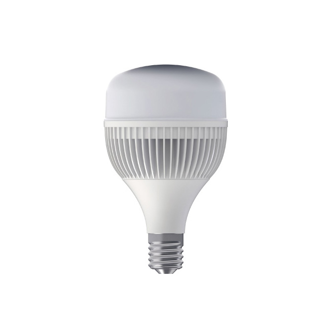 LED Bulb T120
