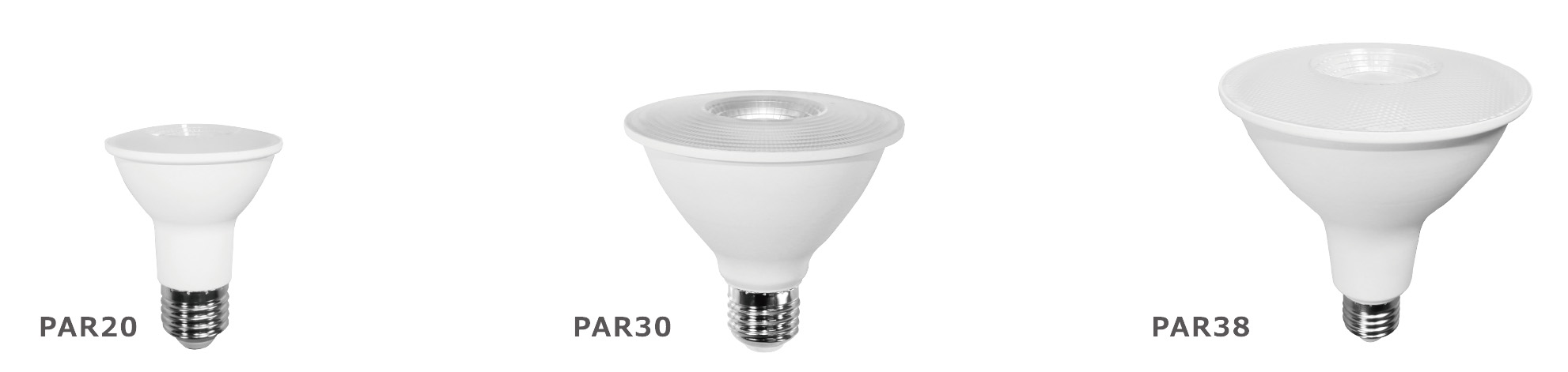 LED Bulb PAR38