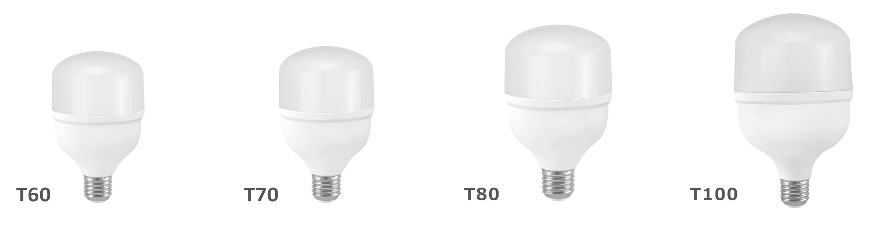 LED Bulb T80