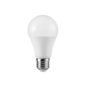 LED Bulb A60