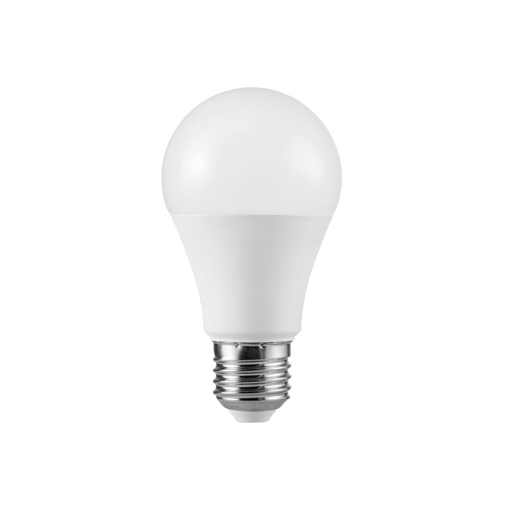 LED Bulb A55