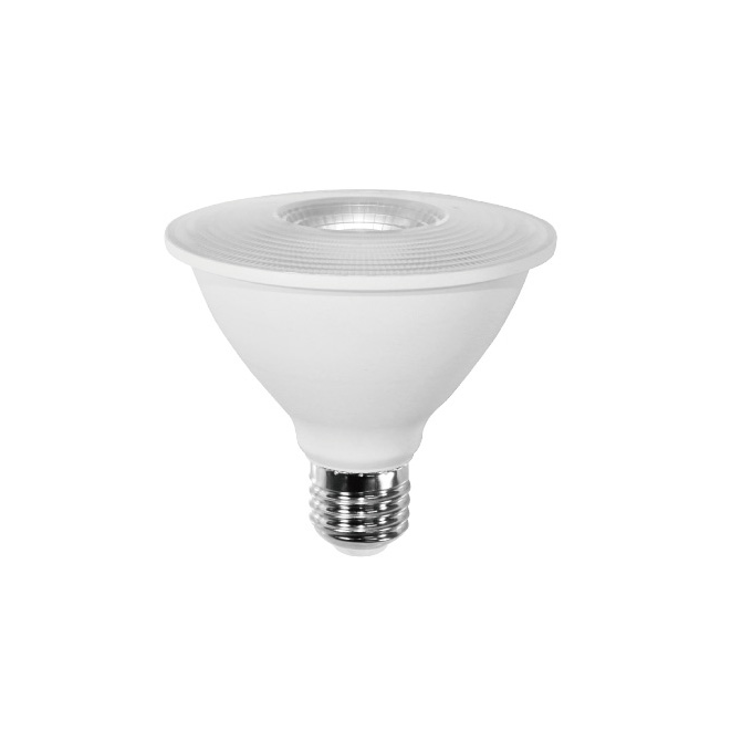 LED Bulb PAR20