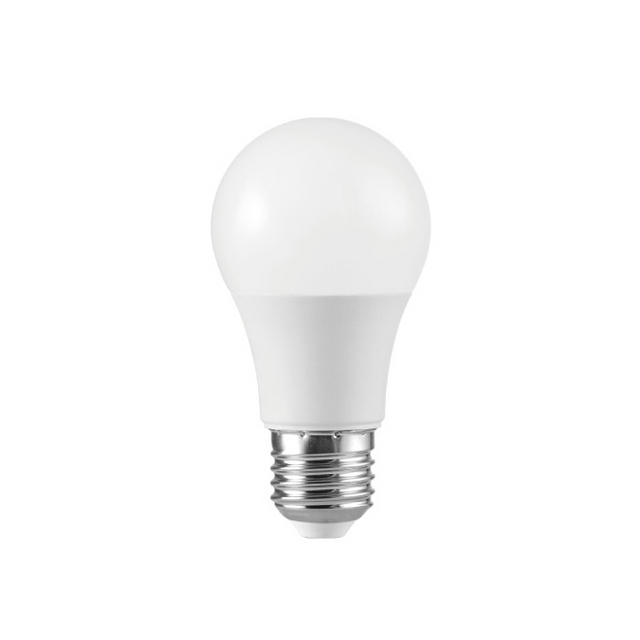 LED Bulb A55