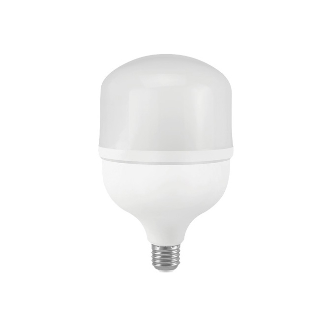LED Bulb T140
