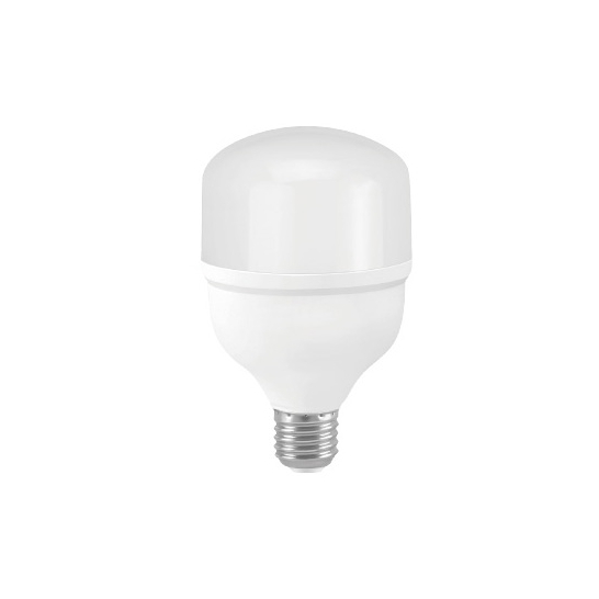LED Bulb T80