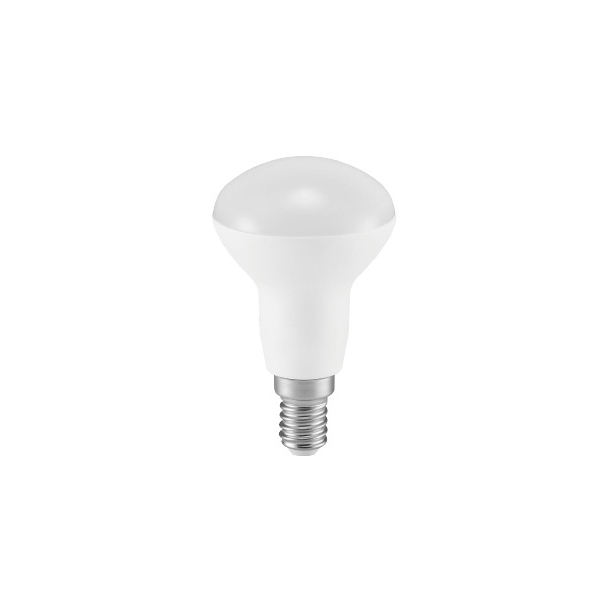 LED Bulb R63