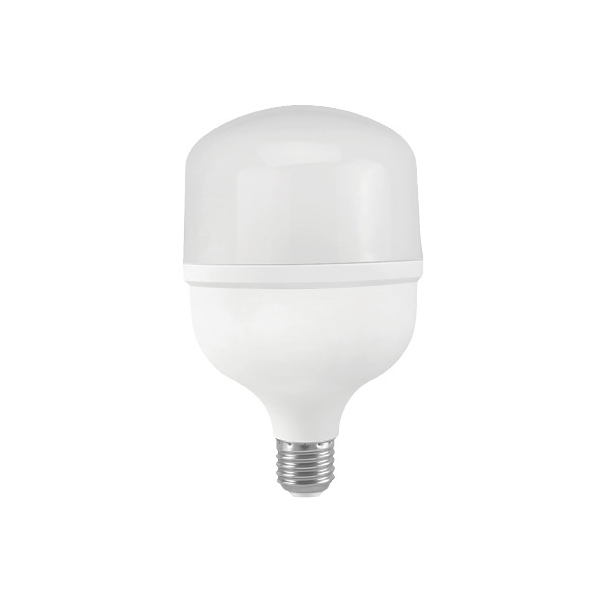 LED Bulb T100
