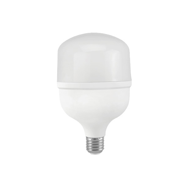 LED Bulb T60