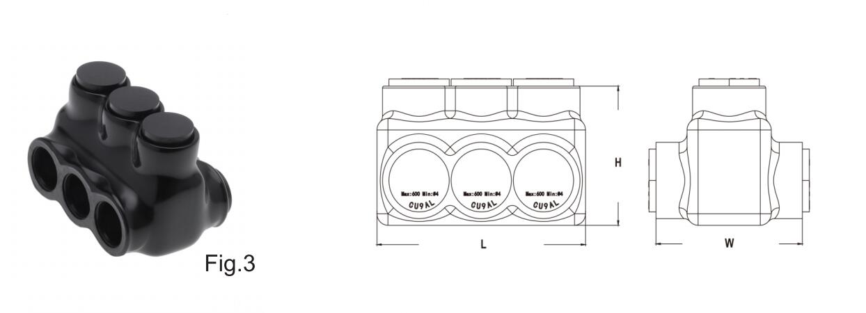 fig3